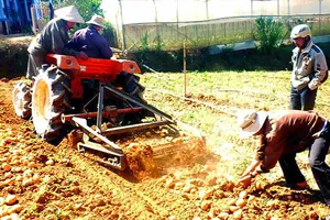 Đà Lạt: Nông dân chế tạo máy đào khoai tây