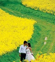 Hạnh phúc giản đơn