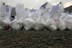 Billion-dollar cocaine seizure in Gambia