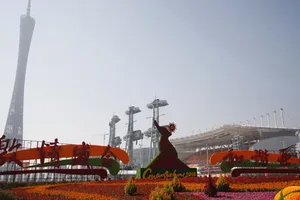 Cẩm chướng & hàng rào