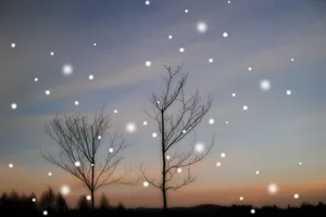 Những mùa đông đã qua