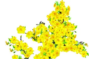 Trên đôi cánh mùa xuân