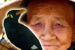 Những giọt nước mắt