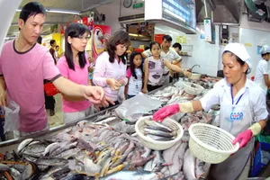 Đảng của dân tộc Việt Nam