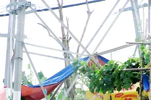 Quán ăn dưới... trụ điện