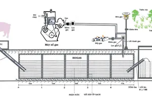 “Ý tưởng tiết kiệm điện - Năm 2012”: Tăng cường sử dụng thiết bị dùng năng lượng khí sinh học
