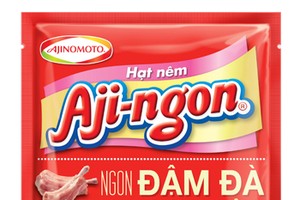 Launching innovative Aji-ngon flavor seasoning