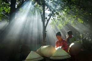 Photo contest on An Giang Province attracts 1,000 entries