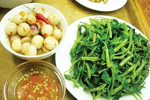 Lược khảo về quả cà