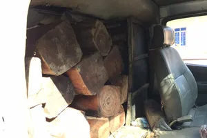 Đắk Lắk: Lâm tặc tấn công kiểm lâm, cướp gỗ