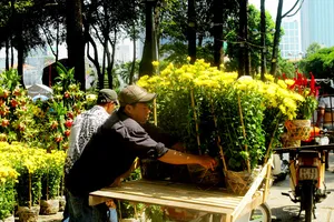 RỘN RÀNG THỊ TRƯỜNG HOA TẾT