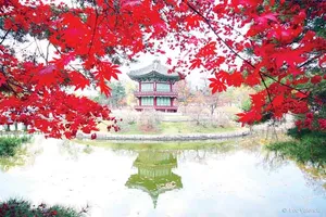 Du ngoạn xứ Hàn đón Tết Trung Thu chỉ với 12,99 triệu đồng