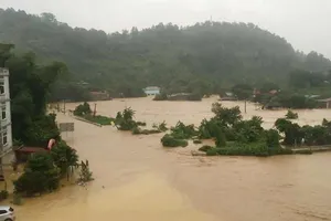 Lào Cai: 12 người chết và mất tích do lũ