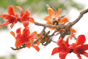 Tháng ba mưa phùn