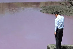 Tạm ngưng hoạt động công ty TNHH Thủy sản Hòa Thắng  do xả nước thải  ra môi trường