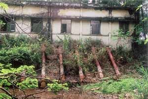 Power Cuts Cause Losses to Production in Greater HCMC Area