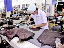 20% hay 50% doanh nghiệp dệt may phá sản?