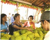 Southern Fresh Fruits for Hot Summer