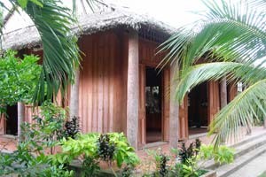 Going completely nuts in Ben Tre