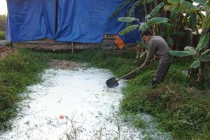 Melamine milk: lessons must be learned from crisis