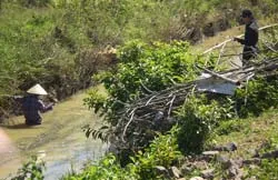 Coi thường mạng sống!