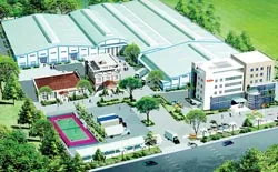 Tân Tân - Tiềm năng của một thương hiệu