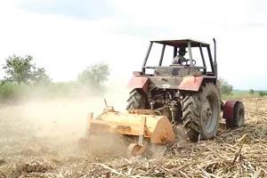 Mía đường: Sản xuất nhỏ lẻ - bế tắc!