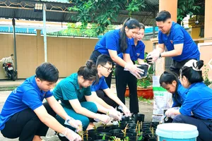 Tuổi trẻ Phú An (TPHCM) xung kích, sáng tạo vì cộng đồng