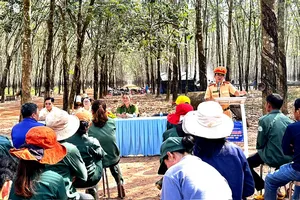 Tuyên truyền Luật Giao thông ngay tại nơi sản xuất