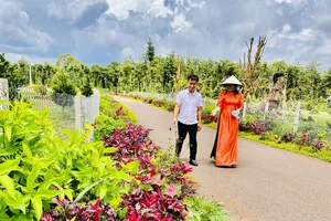 Tươi đẹp với đường nông thôn phía Đông TPHCM