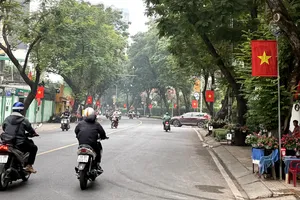 Đường cờ - đường hoa trên đường Trần Quốc Thảo, phường Xuân Hòa. Ảnh: THANH HIỀN