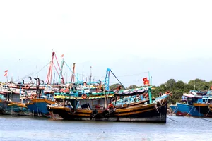 Xã Long Hải là địa phương có nhiều tàu cá không đủ điều kiện hoạt động