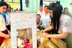 Đa dạng hóa giáo dục STEM trong trường học