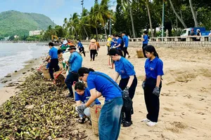 Các bạn đoàn viên ra quân thu gom lục bình dọc các bãi biển thuộc phường Vũng Tàu