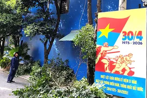 Phường Phú Thạnh ra quân cắt tỉa cây xanh khi mùa mưa đến