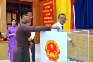 Phường Vũng Tàu thông qua nghị quyết sắp xếp, tổ chức lại khu phố
