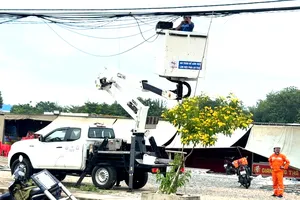 Nhân viên Công ty Điện lực Đất Đỏ thực hiện bó gọn cáp viễn thông, truyền hình