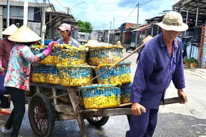 Việc tiêu thụ ngay sau khi cập bờ giúp cá giữ được độ tươi và thuận lợi cho việc vận chuyển đến các điểm tiêu thụ. Ảnh: THÀNH HUY