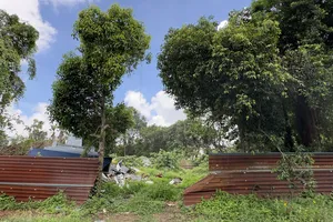 Công viên Đầm Sen bàn giao hơn 2.200m² để xây Trạm biến áp 220kV