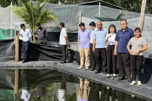 Thăm mô hình nuôi ếch đồng lai của hộ bà Nguyễn Thị Thu ở ấp An Lập
