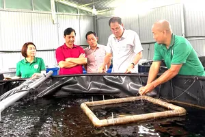 Xã Kim Long phấn đấu đạt chuẩn nông thôn mới vào năm 2028