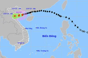 Bão số 3 (Wipha) gây biển động dữ dội, Bắc Bộ mưa lớn và ngập lụt