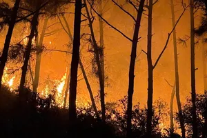 Nghệ An: Hơn 400 người nỗ lực chữa cháy rừng trong đêm