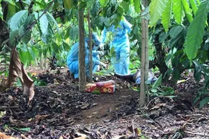 Bắt được nghi phạm sát hại người phụ nữ rồi giấu xác trong rẫy cà phê