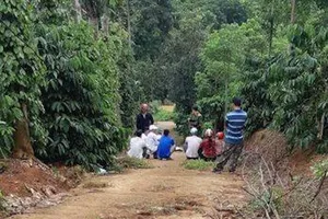 Phát hiện 3 cha con tử vong trong chòi rẫy