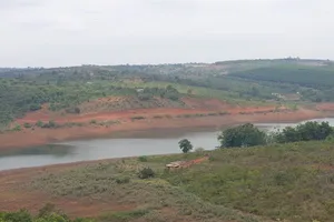 Xử phạt 2 đối tượng tự ý mở đường lấp hơn 5.000m² rừng bán ngập