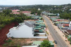 Đắk Nông: Kỷ luật Giám đốc Văn phòng đăng ký đất đai tỉnh