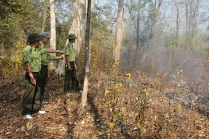  30 năm giữ nguyên vẹn hơn 115.000ha rừng đặc dụng