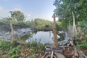 Rủ nhau ra hồ chứa nước chơi, 2 anh em bị đuối nước tử vong