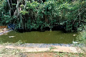 Cháu bé 5 tuổi bị đuối nước thương tâm dưới hồ tưới cà phê